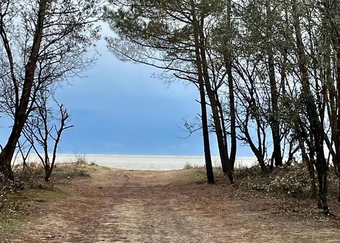 Spacious With Heated Pool And Jacuzzi Pensión Les Mathes