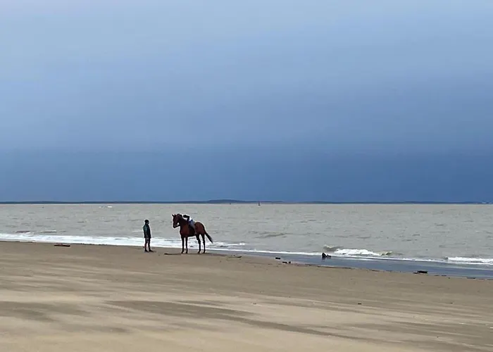 Pensión Spacious With Heated Pool And Jacuzzi Les Mathes