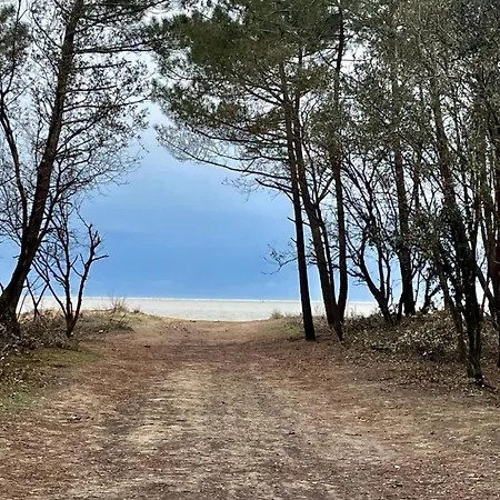 Spacious With Heated Pool And Jacuzzi Guest house Les Mathes