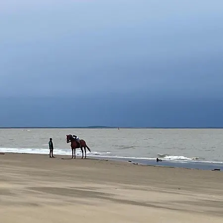 Guest house Spacious With Heated Pool And Jacuzzi Les Mathes