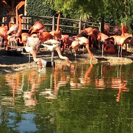 Spacious With Heated Pool And Jacuzzi