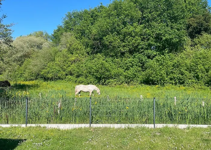 Guest house Spacious With Heated Pool And Jacuzzi Les Mathes