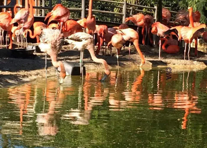 Spacious With Heated Pool And Jacuzzi